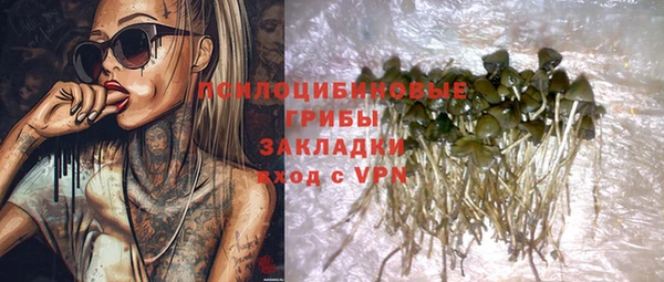 дурь Арсеньев