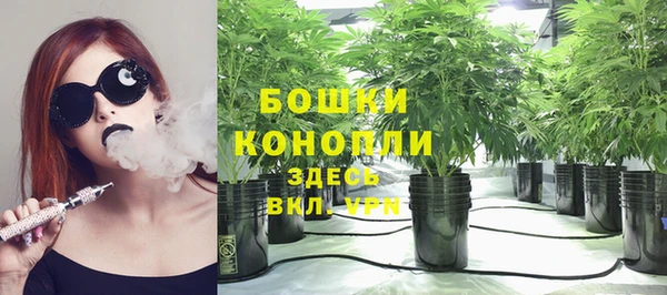 дурь Арсеньев